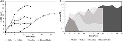 Long Chain Fatty Acid Degradation Coupled to Biological Sulfidogenesis: A Prospect for Enhanced Metal Recovery